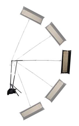 MINM.1