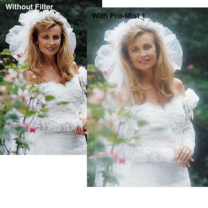 Pro-Mist-1-Compare