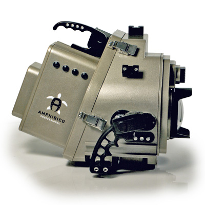 AMP.EX.2