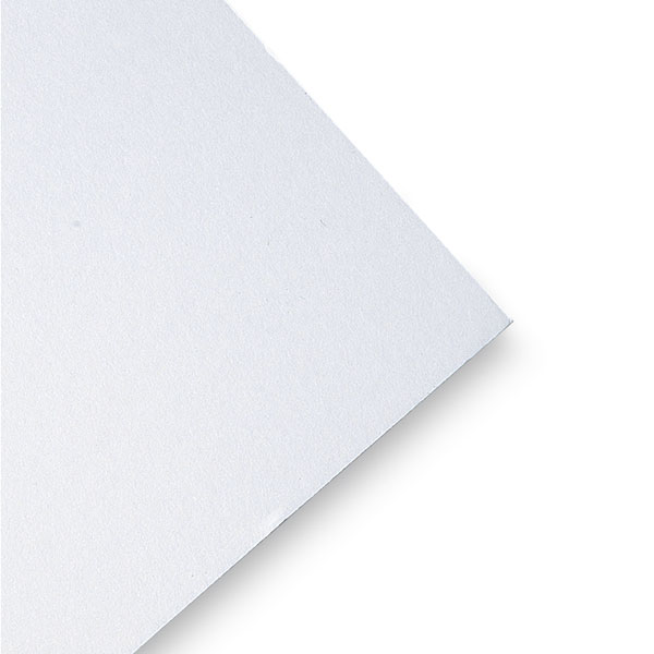 AC024079l
