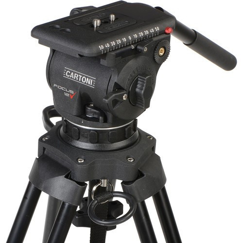 cartoni 12 3