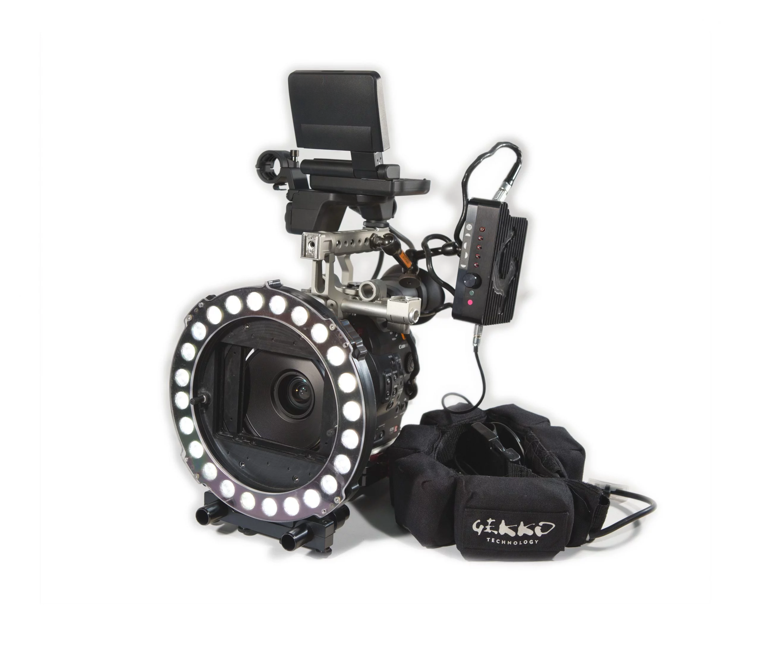 GEKKO-KISS-LIGHt-scaled
